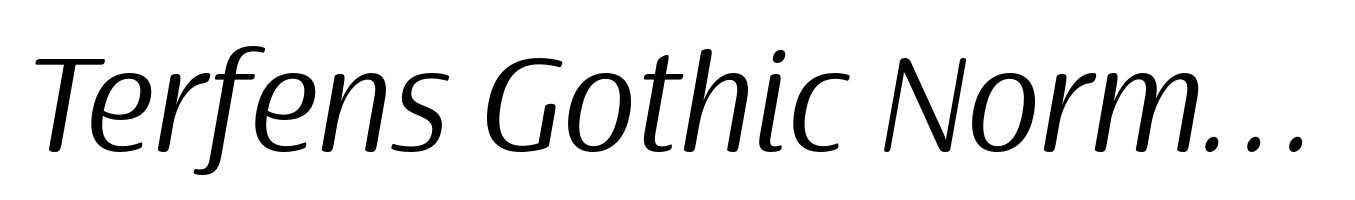 Terfens Gothic Norm Regular Italic